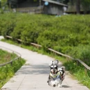 常州旅游 缩略图 12