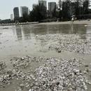 惠州旅游 缩略图 1