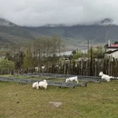 成都旅游 缩略图 14
