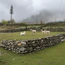 成都旅游 缩略图 13