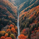 西安旅游 缩略图 7