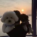 苏州旅游 缩略图 3