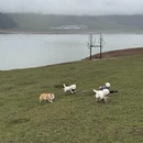 成都旅游 缩略图 8