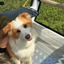 湖州旅游 缩略图 2
