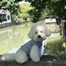 苏州旅游 缩略图 7