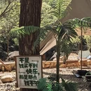北京旅游 缩略图 3