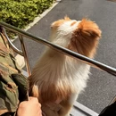 湖州旅游 缩略图 3