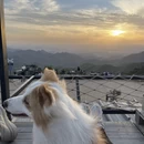 湖州旅游 缩略图 10