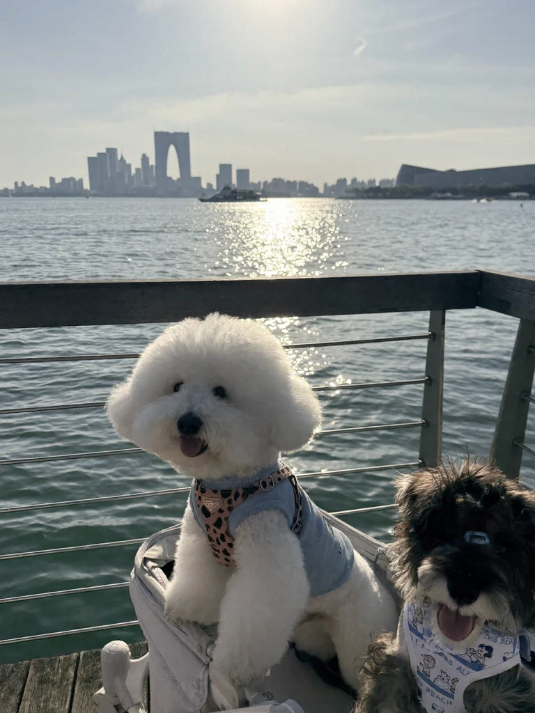 苏州旅游