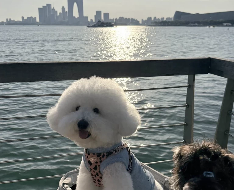 苏州旅游 1