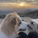 湖州旅游 缩略图 11
