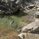 杭州旅游 缩略图 5