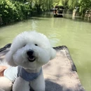 苏州旅游 缩略图 8