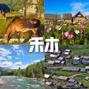 阿勒泰地区旅游 缩略图 9