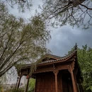 银川旅游 缩略图 6