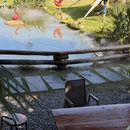 湖州旅游 缩略图 11