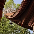 长沙旅游 缩略图 5