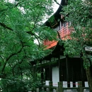 谢脁楼 - 宣城市旅游 缩略图 7