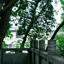 谢脁楼 - 宣城市旅游 缩略图 10