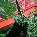 谢脁楼 - 宣城市旅游 缩略图 12
