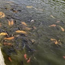 长沙旅游 缩略图 9