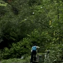 长沙旅游 缩略图 12