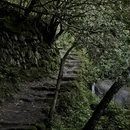 长沙旅游 缩略图 13