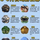常德旅游 缩略图 1