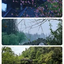 常德旅游 缩略图 9