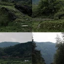 长沙旅游 缩略图 15
