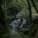 长沙旅游 缩略图 10