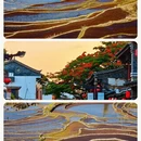 常德旅游 缩略图 4