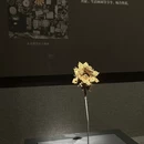 武汉旅游 缩略图 7