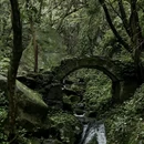 长沙旅游 缩略图 4