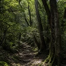 红河旅游 缩略图 6