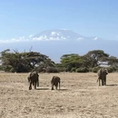 西安旅游 缩略图 1