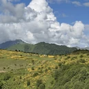 西安旅游 缩略图 11
