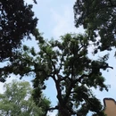 上海旅游 缩略图 15
