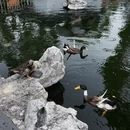 上海旅游 缩略图 8