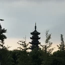 上海旅游 缩略图 17