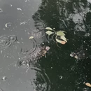 上海旅游 缩略图 9
