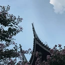 上海旅游 缩略图 3