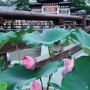 上海旅游 缩略图 12