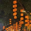 广州旅游 缩略图 7
