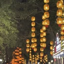 广州旅游 缩略图 9