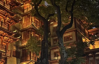 广州大佛寺，虽然是大热门但确实值得来看看！