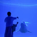 陵水黎族自治县旅游 缩略图 2