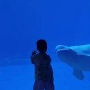 陵水黎族自治县旅游 缩略图 3