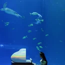 陵水黎族自治县旅游 缩略图 5