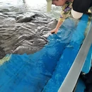 陵水黎族自治县旅游 缩略图 9